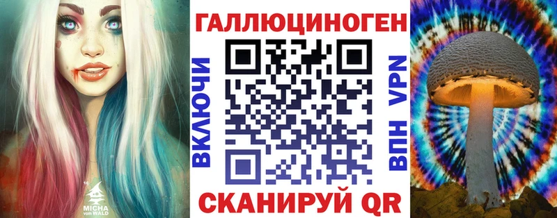 продажа наркотиков  Нея  Галлюциногенные грибы Psilocybe 